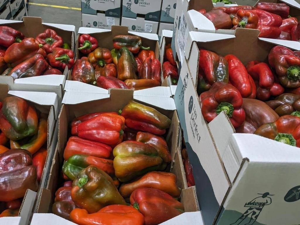 Un millón de kilos de verdura de La Unión llegarán a los comedores de Compass Group España
